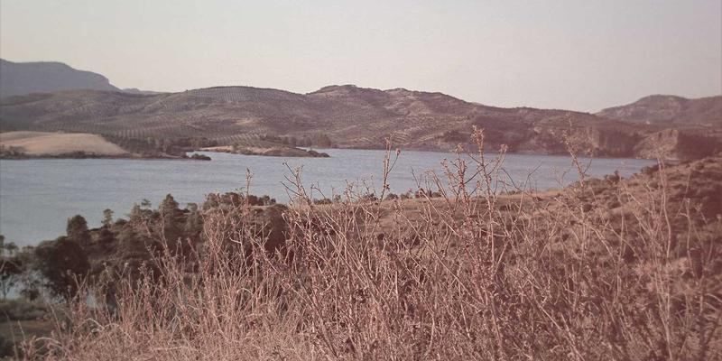 IPv6规模化部署实战：企业网络升级的路线图与技术分享