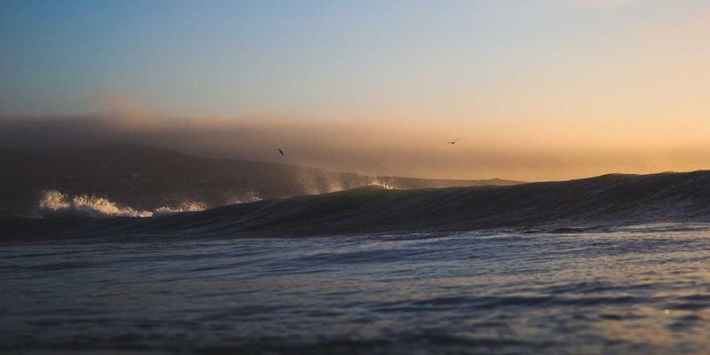 IT教程与编程资源必读：SD-WAN与SASE融合如何重塑现代网络技术