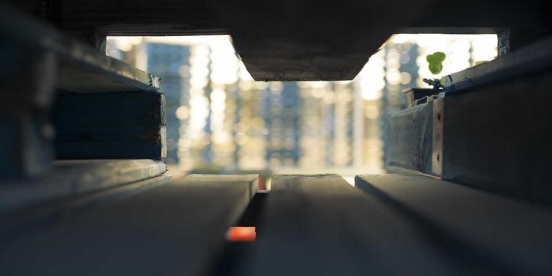 SD-WAN技术深度解析：如何优化企业多分支机构网络连接与成本控制