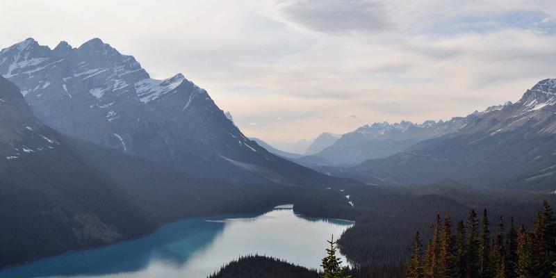 Wi-Fi 6/6E企业级部署实战：从规划到优化的网络技术与编程资源指南