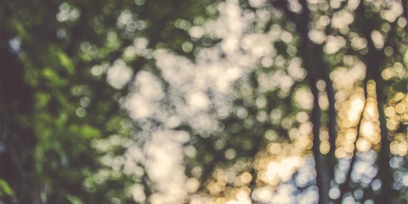 云原生时代网络功能虚拟化（NFV）的实践指南与核心挑战 | 编程资源与技术分享