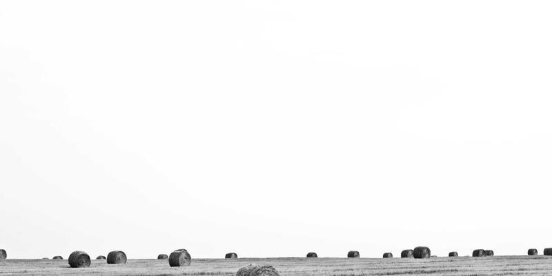 技术分享：云原生网络的核心理念与开源工具落地实践