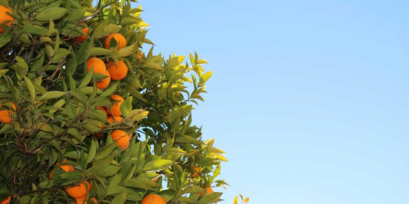 数据中心网络架构深度解析：从传统三层到叶脊（Spine-Leaf）拓扑的技术演进