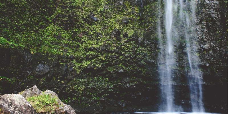 网络功能即服务（NFaaS）：云原生时代软件开发者的网络功能消费与交付新模式