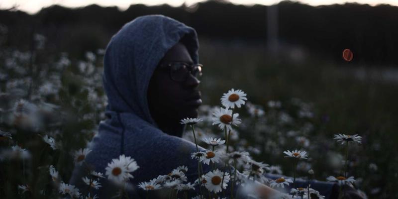 网络技术67：解锁软件开发新视野的IT教程与编程资源指南