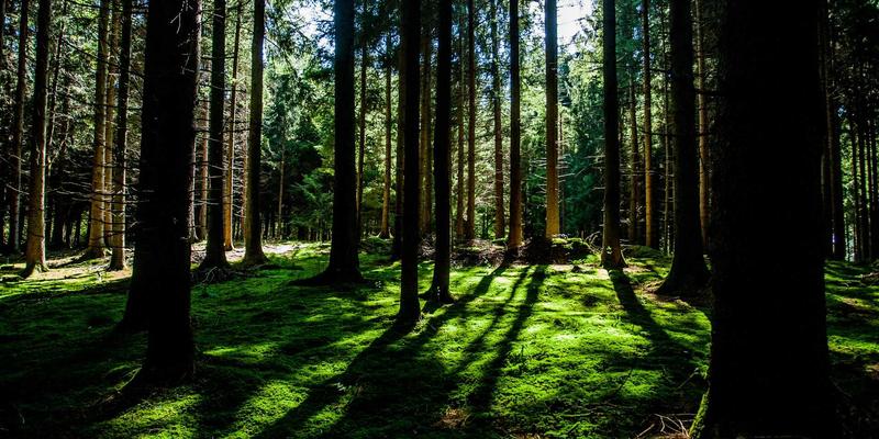 网络技术7时代：精选编程资源与开源工具赋能高效软件开发