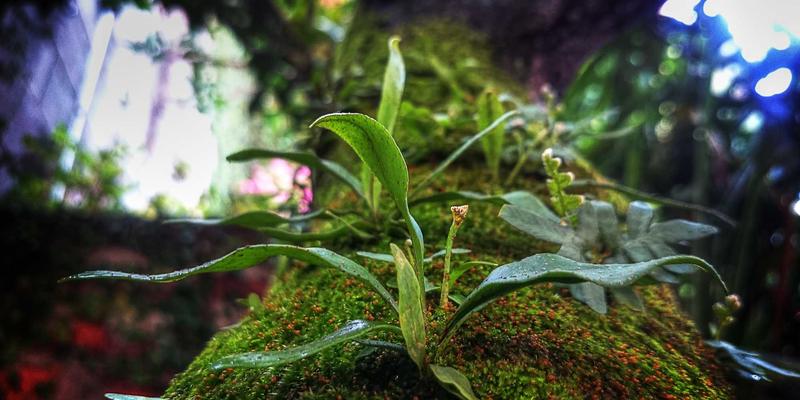 网络技术96：软件开发新纪元中的开源工具与实战教程