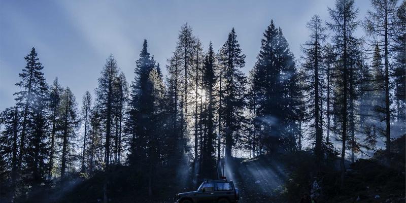 网络技术新前沿：深度解析多接入边缘计算（MEC）平台架构与开源工具驱动的API生态构建