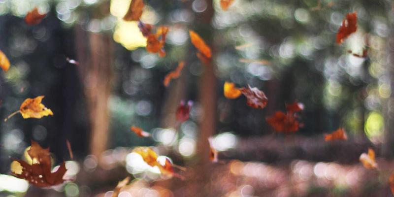 软件开发新范式：基于开源工具的零信任网络访问(ZTNA)远程办公落地指南